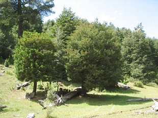 See more details and purchase options...